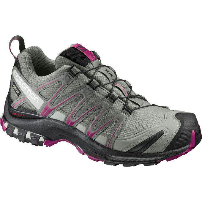 Salomon Israel XA PRO 3D GTX® W - Womens Trail Running Shoes - Silver (FDRZ-13409)